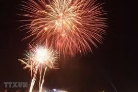 Propone suspender festivales y espectáculos de fuegos artificiales por Año Nuevo Lunar