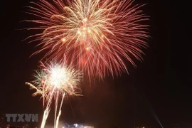 Propone suspender festivales y espectáculos de fuegos artificiales por Año Nuevo Lunar