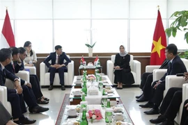 Vietnam e Indonesia comparten experiencias de auditoría