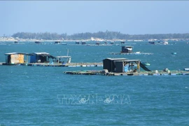 Buscan promover desarrollo sostenible de la acuicultura marina en provincia vietnamita