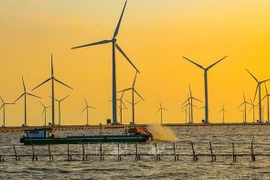 Vietnam desarrolla energía eólica marina 