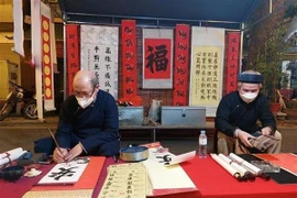 Celebran diversas actividades en ciudades vietnamitas en saludo al Tet