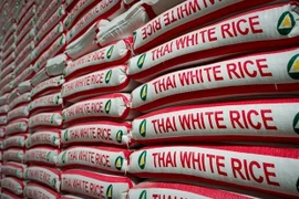 Exportación de arroz tailandés aumenta de enero a septiembre 