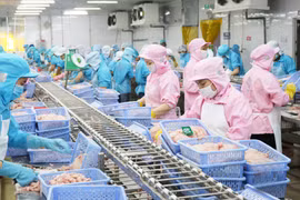 Actualizan normas de mercado chino para ventas de productos agrícolas vietnamitas