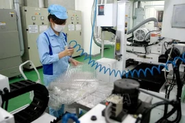 Desarrollo económico verde: un factor importante para atraer la inversión extranjera en Vietnam