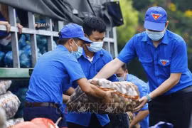 Exhortan a la juventud vietnamita a promover creatividad y dedicación