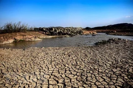 Vietnam por luchar contra la desertificación y la sequía
