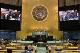 Vietnam – ONU, socios de cooperación por el desarrollo sostenible