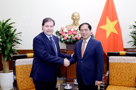 Vietnam y Chile realizan la VII reunión de consulta política