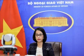 Vietnam exhorta al mantenimiento de paz y estabilidad en el mar