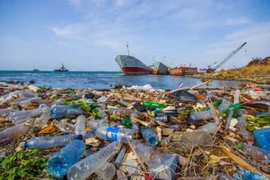 Vietnam participará en negociación de proyecto de resolución contra contaminación por plásticos