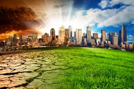Lanzan primera red empresarial de adaptación al cambio climático en Vietnam