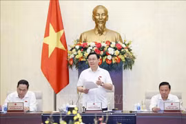 Parlamento vietnamita analiza trabajo legislativo