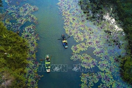 Revolución digital en el turismo vietnamita: Importancia de empresas pioneras