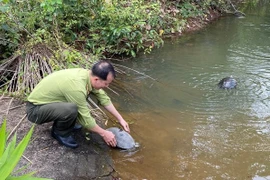 Liberan en Vietnam 112 animales salvajes raros al hábitat natural 