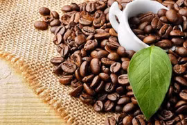 Exportaciones vietnamitas de café superan dos mil millones de dólares