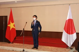 Efectuarán XIV Festival de Vietnam en Japón en junio 