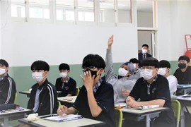Enseñan idioma vietnamita en modelo de orientación profesional en Corea del Sur