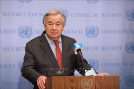 Vietnam apoya reforma de la ONU