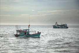 Vietnam dispuesto a cooperar y compartir experiencias en la lucha contra la pesca ilegal