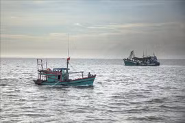 Vietnam dispuesto a cooperar y compartir experiencias en la lucha contra la pesca ilegal