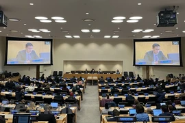 Vietnam llama a acelerar esfuerzos globales para promover el desarrollo sostenible