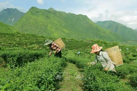 Debaten programa de reducción sostenible de pobreza en la etapa 2021-2025 en Vietnam