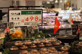 Debaten medidas para promover exportaciones agrícolas de Vietnam a mercado internacional 