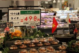 Debaten medidas para promover exportaciones agrícolas de Vietnam a mercado internacional 