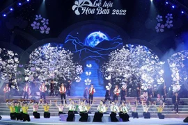 Celebran Festival de flor de Bauhinia blanca en provincia vietnamita
