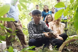 Liberan en Vietnam 58 ejemplares de animales salvajes al hábitat natural