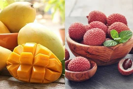 Señales positivas para exportaciones de frutas vietnamitas