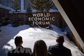 Presencia de Vietnam en Foro Económico Mundial 2022 muestra su posisión y prestigio, embajadora vietnamita 