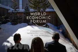Presencia de Vietnam en Foro Económico Mundial 2022 muestra su posisión y prestigio, embajadora vietnamita 
