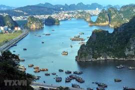 Provincias vietnamitas muestran signos positivos de recuperación en turismo