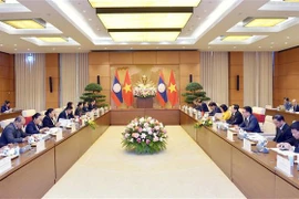 Profundizan cooperación entre órganos legislativos de Vietnam y Laos