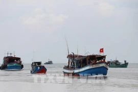 Provincia survietnamita trabaja por combatir pesca ilegal