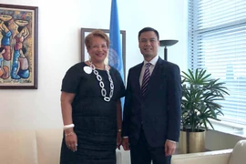 Oficial de ONU elogia aportes de Vietnam a trabajo común de agrupación