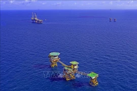 Vietsovpetro recibe primer flujo de petróleo de plataforma de Ca Tam 2