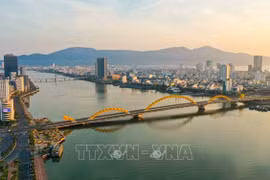 Da Nang promueve tratamiento de residuos urbanos