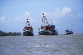 Provincia de Kien Giang se centra en la lucha contra la pesca ilegal