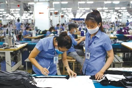 Vietnam, uno de los contribuyentes más significativos al crecimiento económico de la ASEAN