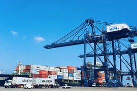Provincia vietnamita crea condiciones favorables para empresas navieras internacionales