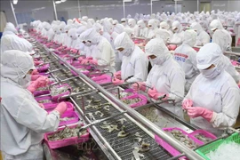 Aumentan exportaciones vietnamitas de productos acuáticos a China 