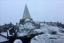 Nieves cubren de blanco la cima de Fansipan