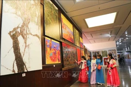 Efectúan exposición de pinturas de artistas vietnamitas y surcoreanas 