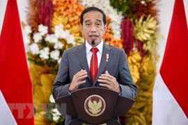 Presidente de Indonesia reorganiza gabinete