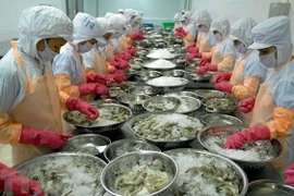 Vietnam promueve exportaciones pesqueras a la Unión Europea