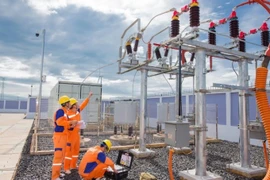 Fitch afirma calificación 'BB' de corporación eléctrica vietnamita con perspectiva positiva