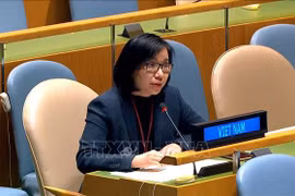 Resaltan logros de Vietnam en garantía de derechos humanos y laborales